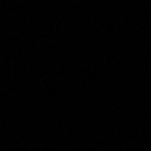 Meet your Posher, Tamara